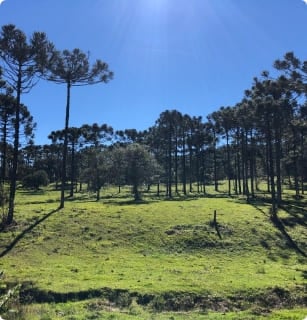 Imóveis em Sítios em Urubici